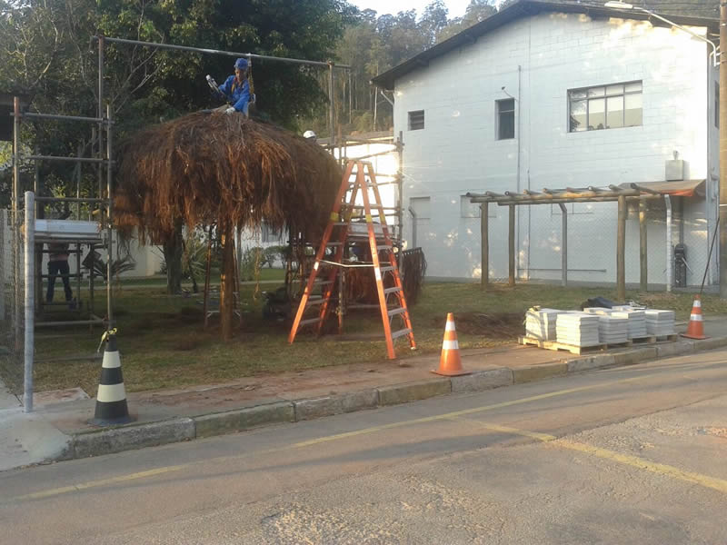 Revitaliza��o e paisagismo  empresa dow quimica